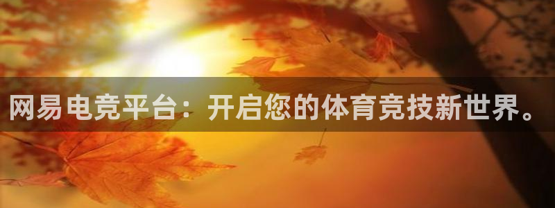 vkgame 威客电竞