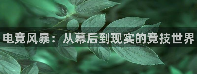 威客电竞vkgame官网：电竞风暴：从幕后到现实的竞技世界