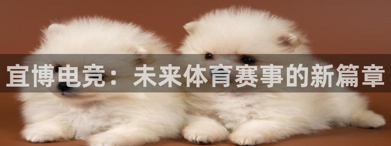 威客电竞·(中国)VKGAMING：宜博电竞：未来体育赛事的新篇章