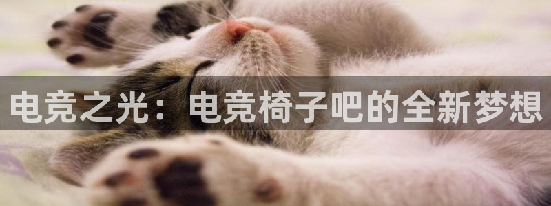 威客电竞吧官网安卓版：电竞之光：电竞椅子吧的全新梦想