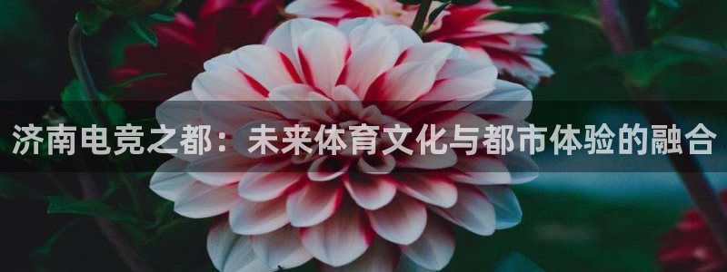 威客电竞VKGAME：济南电竞之都：未来体育文化与都市体验的融合