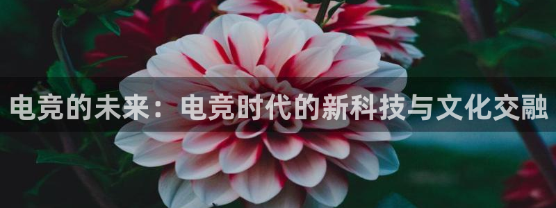 威客电竞：电竞的未来：电竞时代的新科技与文化交融