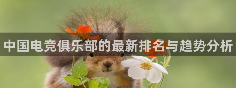 威客电竞客：中国电竞俱乐部的最新排名与趋势分析