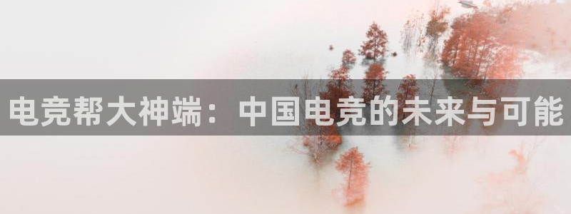 vkgame威客电竞官网：电竞帮大神端：中国电竞的未来与可能