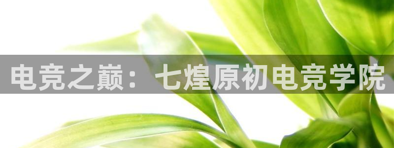 vkgame 威客电竞：电竞之巅：七煌原初电竞学院